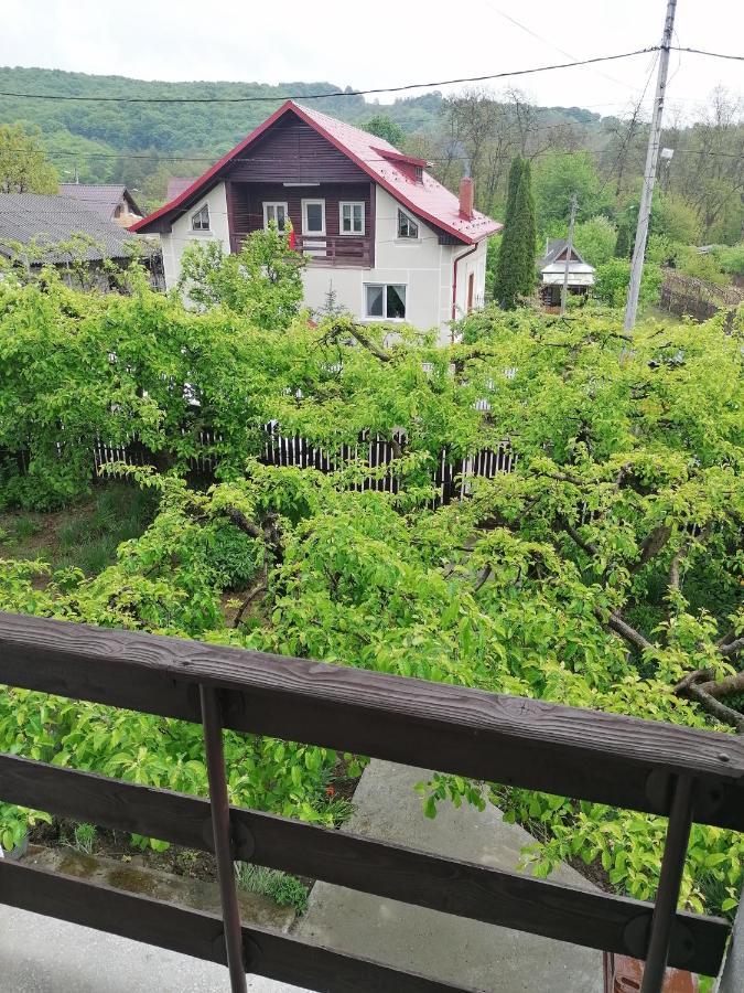 Curtea de ArgeşCazare Vila Maria公寓 外观 照片