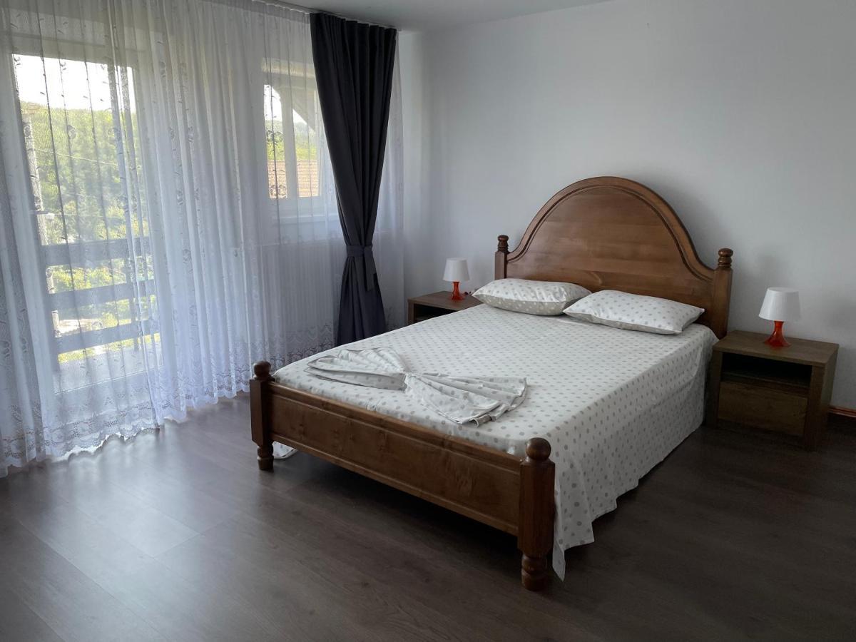 Curtea de ArgeşCazare Vila Maria公寓 外观 照片