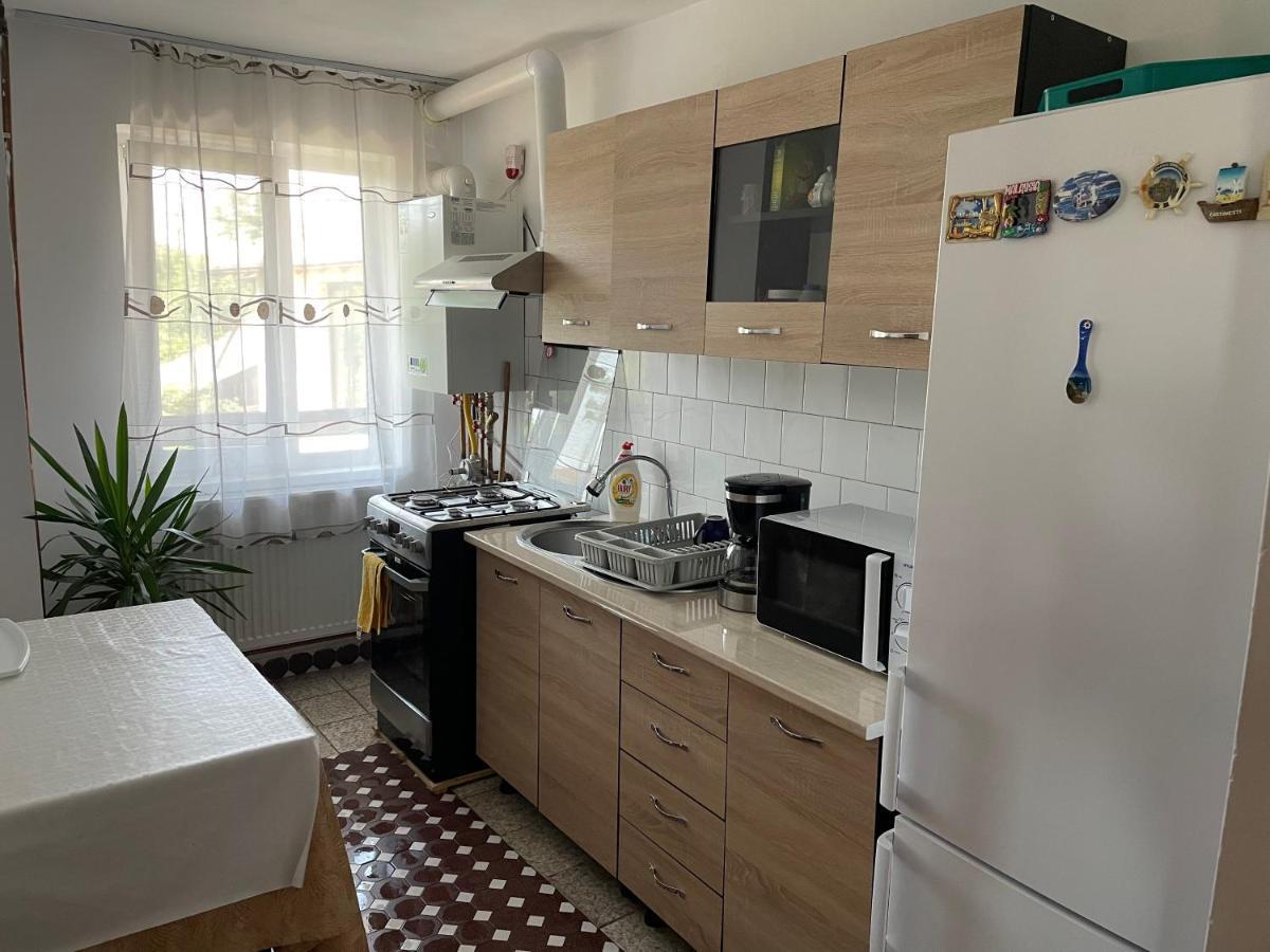 Curtea de ArgeşCazare Vila Maria公寓 外观 照片